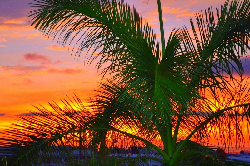 Mazatlan Sunset Photo